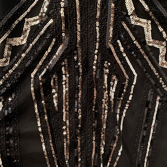 Roaring 20s Flapper Dress - Picture 3 of 7